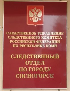 Перед судом предстанет жительница Сосногорска по обвинению в убийстве сына